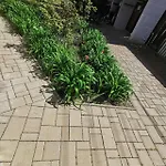 Duna Riverside Homestay Dunakeszi