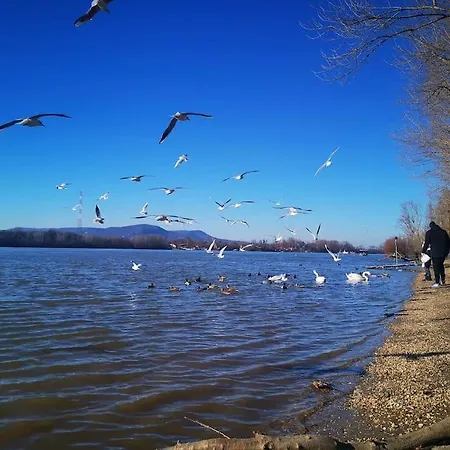 Séjour chez l'habitant Duna Riverside *