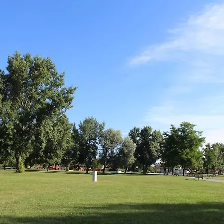 Gazde/Camere de închiriat Duna Riverside